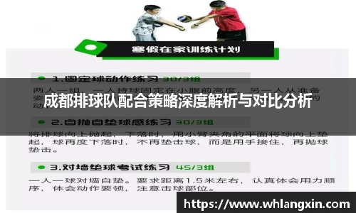 成都排球队配合策略深度解析与对比分析