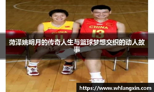 yy易游体育
