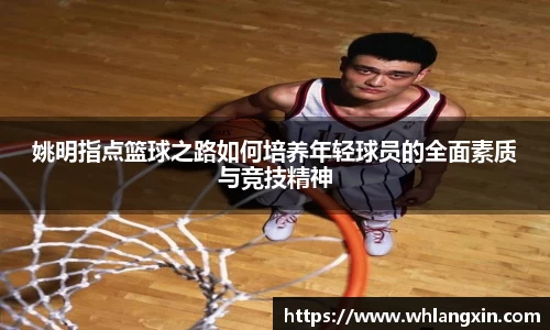 米乐yy易游