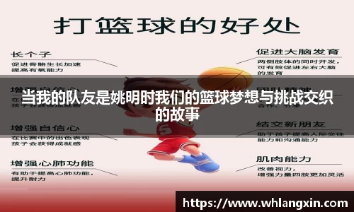 米乐yy易游